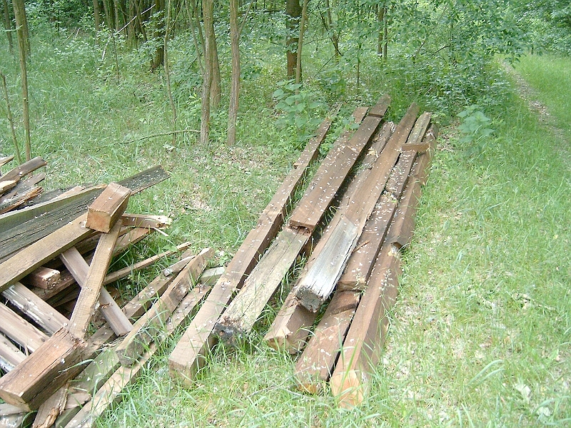 20100530 009.jpg